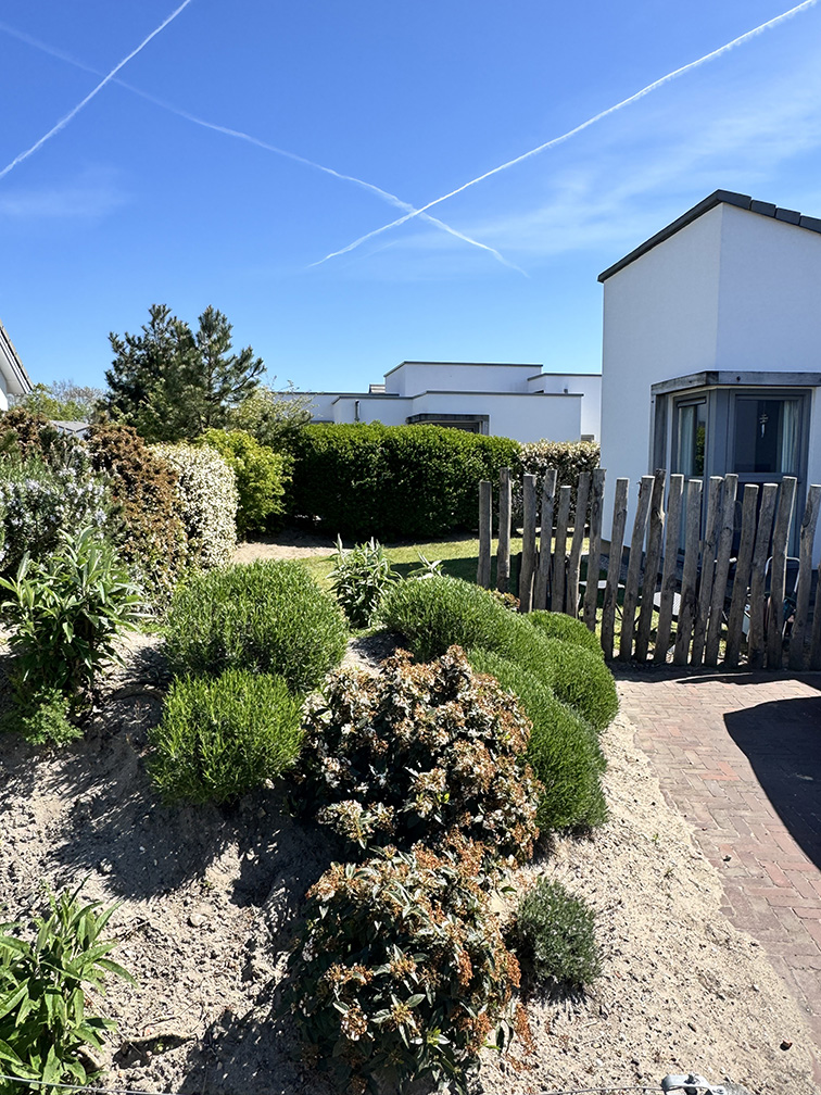 zijaanzicht huisje bij zee tuin